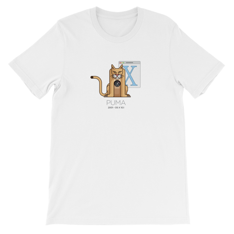 Mac OS X 10.1 - Puma